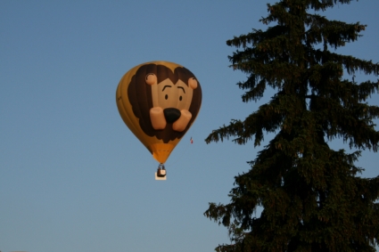 Leone in volo libero